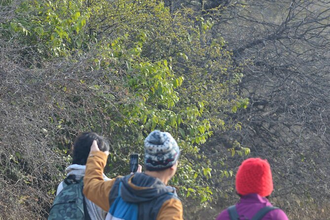 Forest Trail Hiking Adventure-Gurgaon by @Aravali.Hikes - FAQ