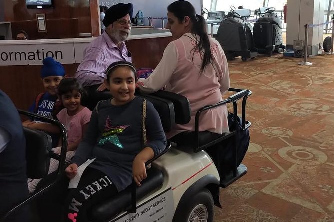 Private Round-Trip Transfer in Delhi with Optional VIP Assistance - What the Experience Offers and How It Works