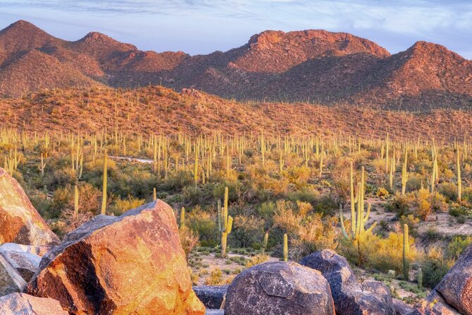 Saguaro National Park East E-Bike Tour - Why Travelers Love This Tour