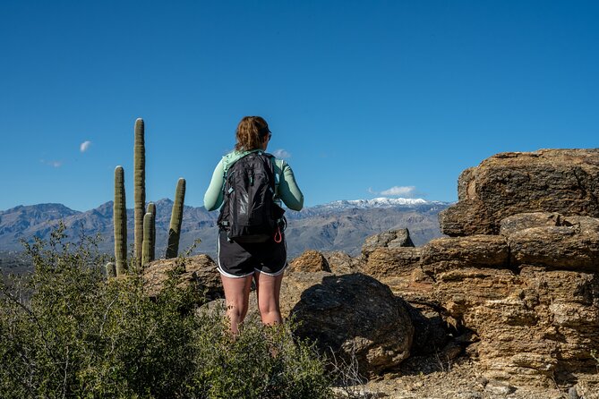 Self Guided Driving Audio Tour of Saguaro National Park - Authentic Experiences and Authenticity of the Tour