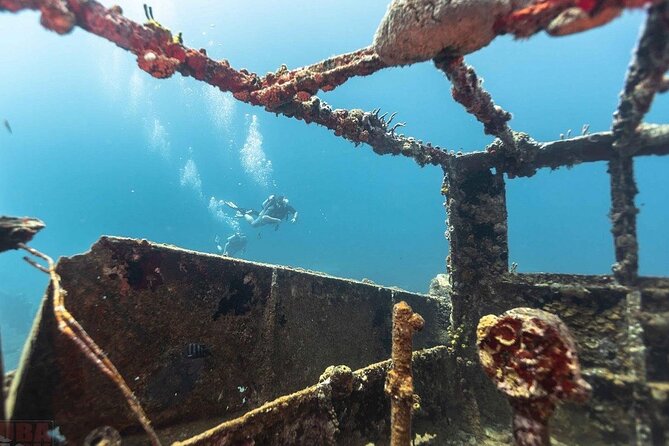 Anguilla Based:Complete your PADI Open Water Dives 3 & 4 with us - Who Is This Tour Best For?