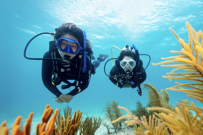 Anguilla Based:Complete your PADI Open Water Dives 3 & 4 with us - Key Points
