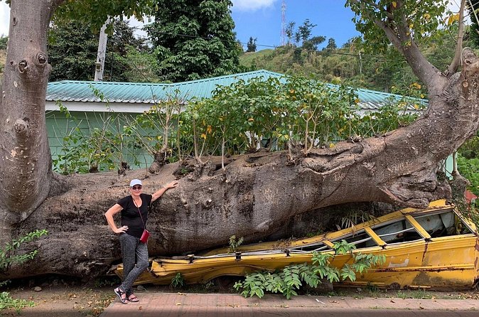 Pirates of the Caribbean Fun Tour - Who Will Love This Tour?