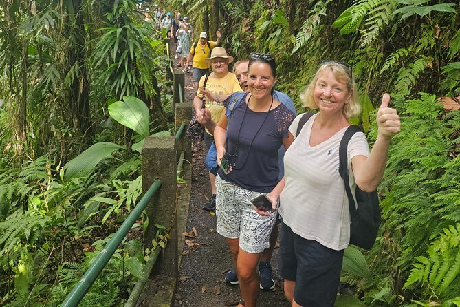 Emerald Pool Trafalgar Falls Mega Fun Tour - Key Points
