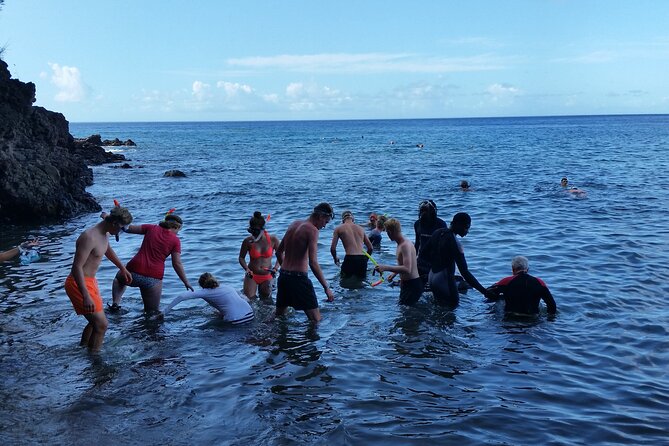 Shoreside Fun-Day with Titou Gorge, Hot Springs & Champagne Reef - Who Should Book This Tour?