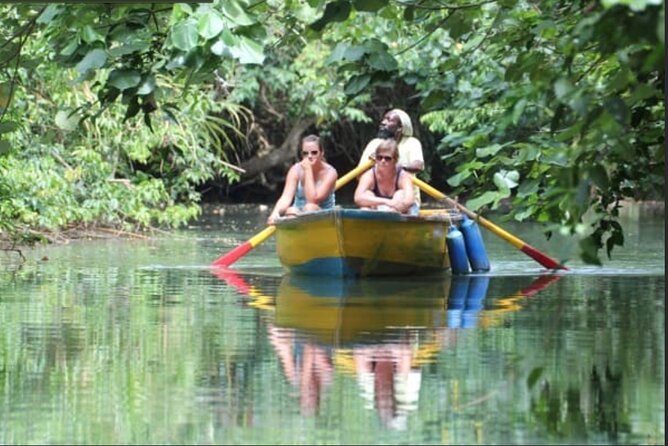 Dominica Indian River Discovery & Beach stop. - A Highly Detailed Look at the Dominica Indian River & Beach Tour