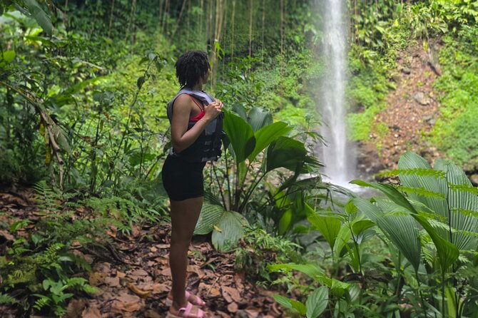 Chasing Waterfalls Dominica - The Sum Up: Who Should Consider This Tour?
