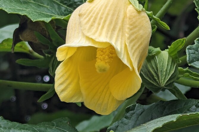 Magical Hike: Fresh Water Lake - What Makes This Tour Stand Out?