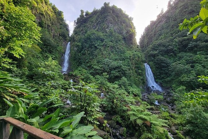 Dominica Roseau City and Rainforest Tour - Final Thoughts