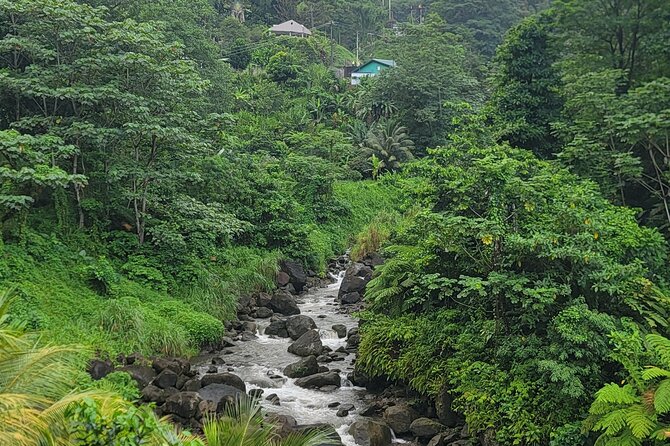 Roseau Rainforest Adventure to Waterfalls & water canyon swimming - FAQ