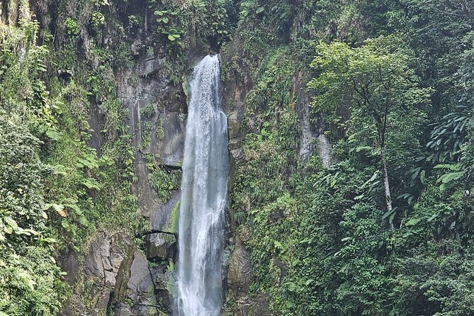 Relax in Hot Springs and swim in Titou Gorge and Trafalgar Falls - FAQ