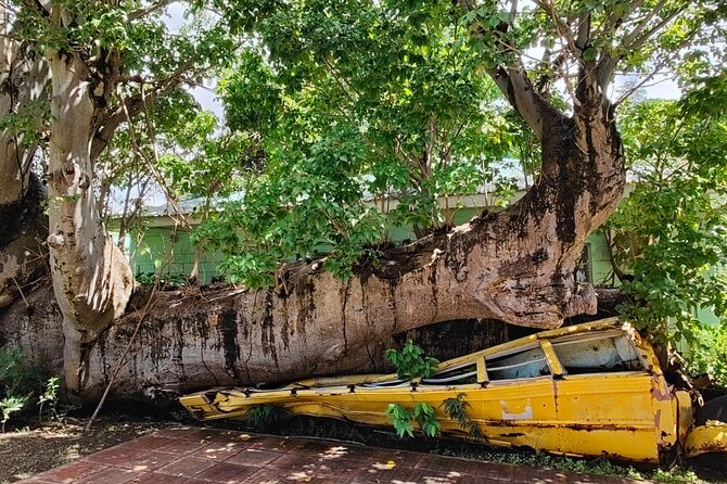 Experience City with Bus Hop on Hop Off Tours - Final Thoughts: Who’s This Tour For?