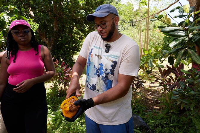 Soma Garden All Inclusive Tropical Fruit Farm Tour - Key Points