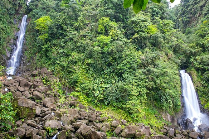 Roseau Dominica Safari Scenic: Rainforest, Falls & Karaoke - FAQ