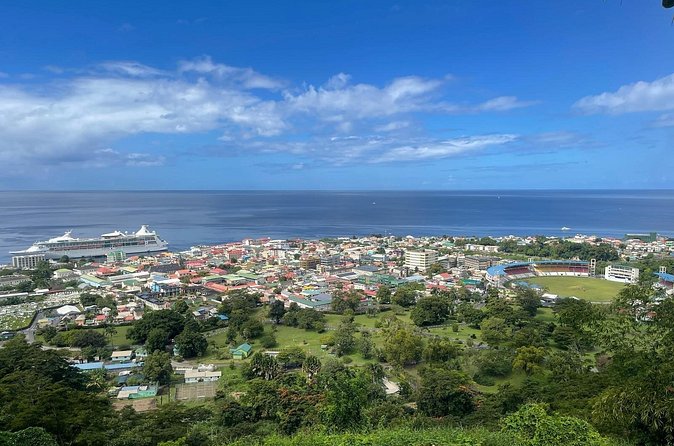 Roseau Dominica Safari Scenic: Rainforest, Falls & Karaoke - Final Thoughts: Is This Tour for You?