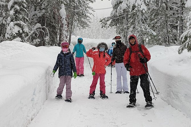 Introductory Guided Snowshoe Tour - Key Points