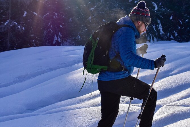 Snowshoe Rentals in South Lake Tahoe - FAQ: Your Snowshoeing Questions Answered