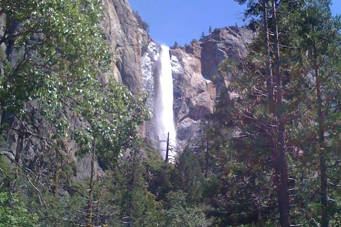 Small-Group Day Trip to Yosemite from Lake Tahoe - Transportation and Comfort