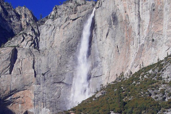 Small-Group Day Trip to Yosemite from Lake Tahoe - Who Will Love This Tour?