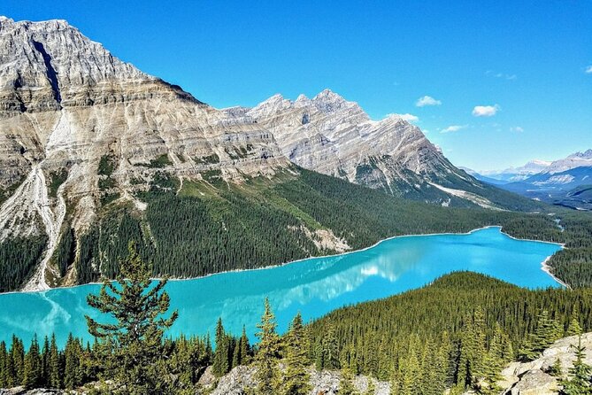 Columbia Icefield,Peyto Lake,Bow Lake Day Trip from Banff/Calgary - Final Thoughts