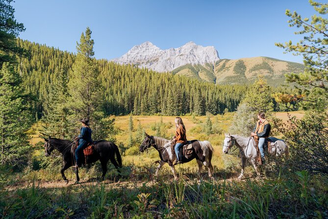 Valley Vista 1.5 Hour Horseback Trail Ride in Kananaskis - The Experience for Different Riders