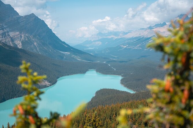 Experience the Columbia Icefield: Private Tour from Calgary - Good To Know