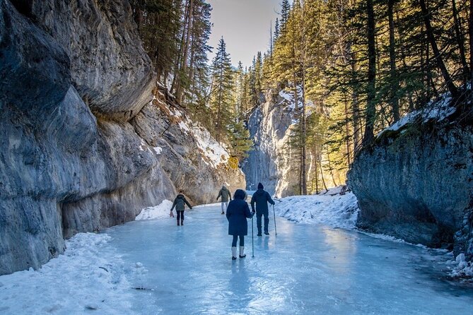 Majestic Grotto Canyon Ice Walk tour from Banff Calgary Canmore - What to Expect on the Grotto Canyon Ice Walk