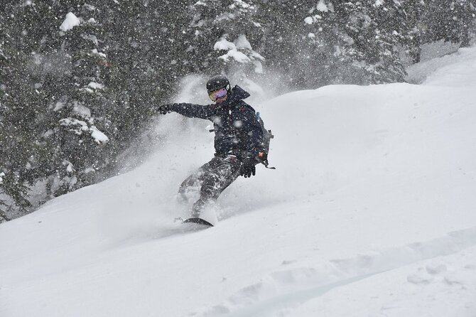 12 Days Powder Highway Ski and Snowboard Tour - Who Would Benefit Most?