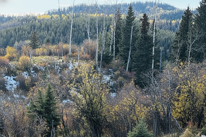 Waiprous Valley and Ghost Lake Offroad Tour - Who Is This Tour Best Suited For?