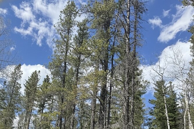 Waiprous Valley and Ghost Lake Offroad Tour - The Sum Up: Why You Should Consider This Offroad Adventure