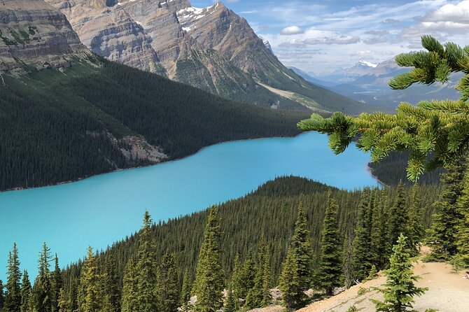 Icefields Pkwy: Lake Louise | Bow | Peyto|Glacier - PRIVATE TOUR - Frequently Asked Questions