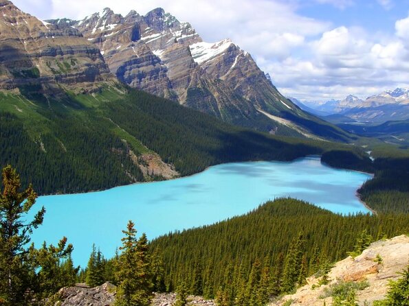 Icefields Pkwy: Lake Louise | Bow | Peyto|Glacier - PRIVATE TOUR - Exploring Alberta’s Majestic Icefields Parkway: A Private Tour Experience