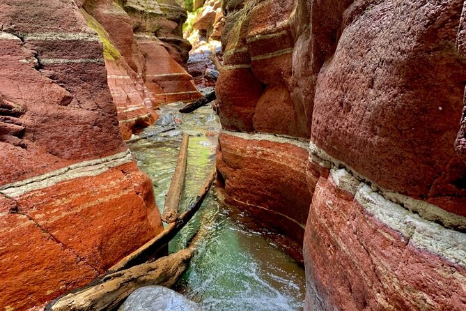 Waterton National Park Premium Day Tour - The Sum Up