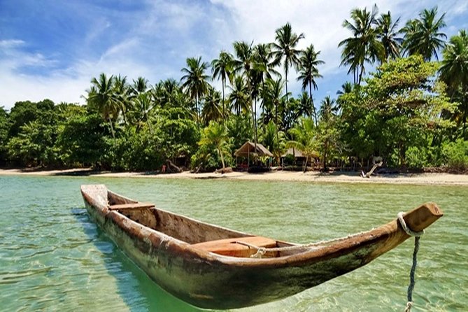 One-Way Private Transfer to Boipeba Island - Private Transfer from Salvador to Boipeba: An In-Depth Look