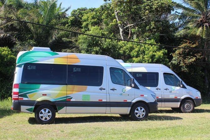 Transfer Hotel in Salvador / Salvador Airport - In-Depth Look at the Salvador Hotel to Airport Transfer