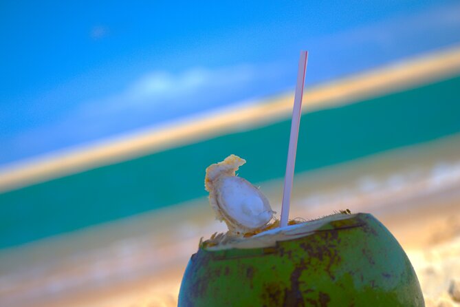 Coconut Coast Surf Adventure Vacation : Seven Days with a Pro - Location and Setting