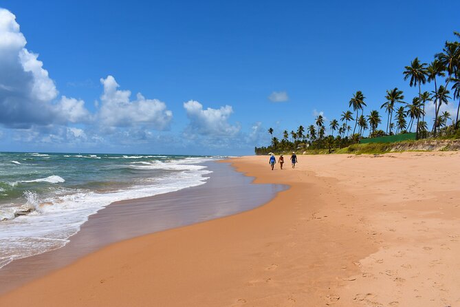 Coconut Coast Surf Adventure Vacation : Seven Days with a Pro - The Surf Spots