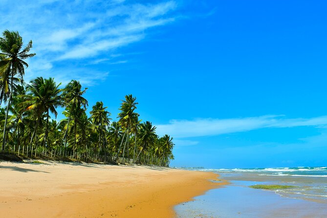 Coconut Coast Surf Adventure Vacation : Seven Days with a Pro - Key Points