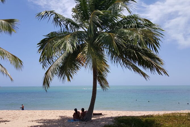 Private Coconut Coast & Praia do Forte Tour - from Salvador - FAQ