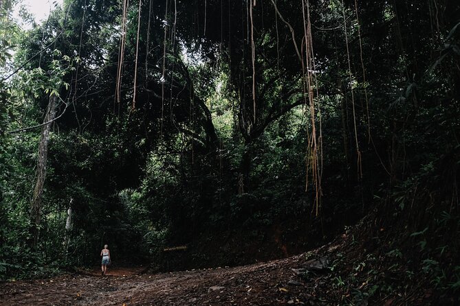 Shared Shuttle Arenal to Monteverde - Final Thoughts: Is This the Right Choice for You?