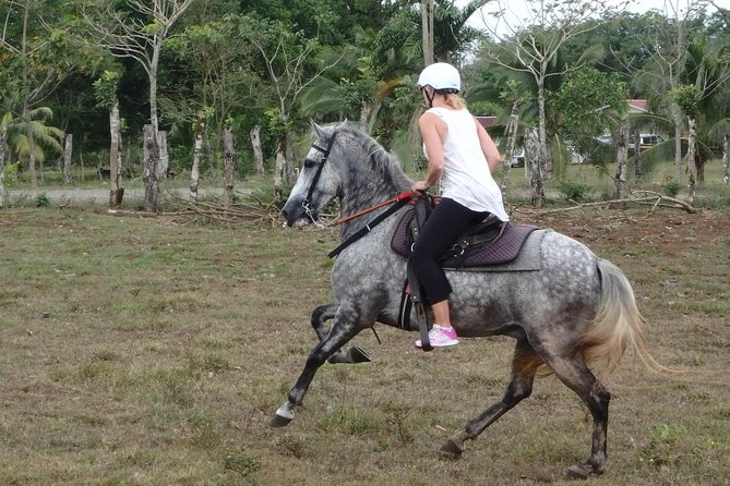 Private and Customized Horseback Riding Adventures - Who It’s Best For