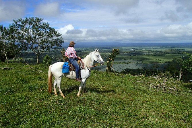 Private and Customized Horseback Riding Adventures - Practical Information