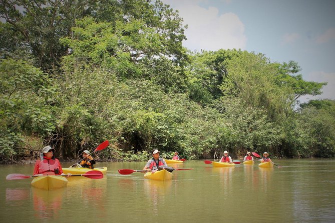 Kayak Safari - Kayak Safari in La Fortuna, Costa Rica: An Authentic Wildlife Encounter