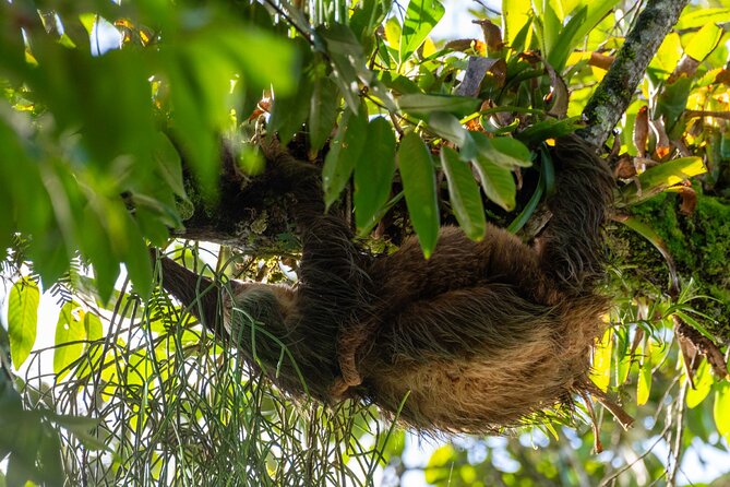 Peñas Blancas River Safari Float - A Deep Dive into the Peñas Blancas River Safari Float Experience