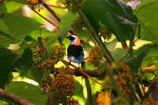 Flora & Fauna Garden at Danaus EcoCenter - An In-Depth Look at the Danaus EcoCenter Tour