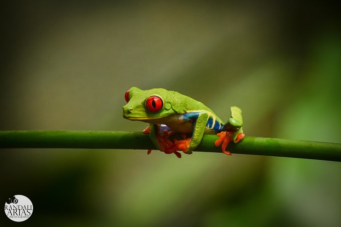 Flora & Fauna Garden at Danaus EcoCenter - Final Thoughts