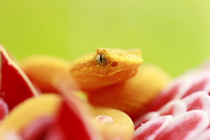 Flora & Fauna Garden at Danaus EcoCenter - FAQ