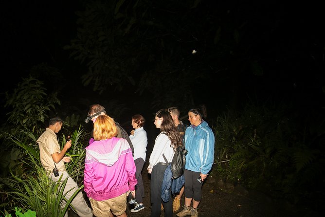 Night Walk Experience at Natura Eco Park, (frogs snakes mammals insects birds) - Authentic Encounters and Real Review Perspectives