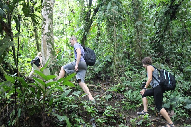 Arenal Hanging Bridges, Volcano Hike & Hotsprings Tour with Lunch - FAQs
