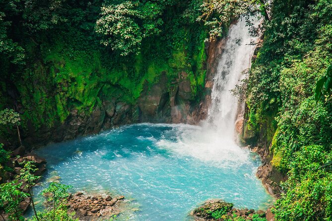 Walk in Río Celeste in Tenorio Volcano National Park - Who Should Consider This Tour?